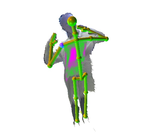 THz and thermal video data set, Thermal imaging, Terahertz images, THz, Terahertz