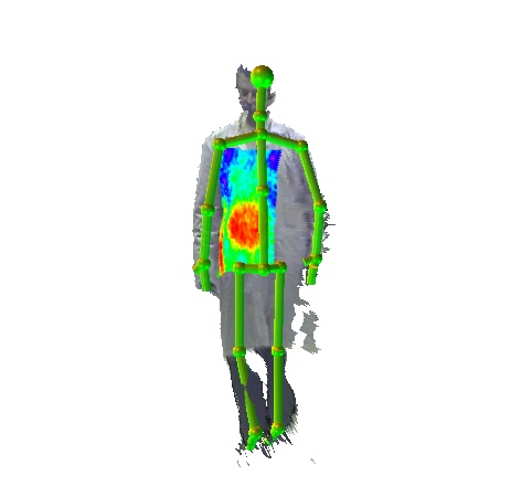 THz and thermal video data set, Thermal imaging, Terahertz images, THz, Terahertz