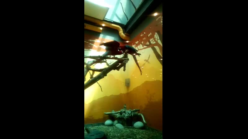 VID_20190526_125523.3gp