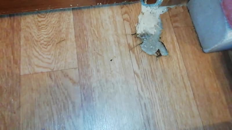 Линолеум разрыт, тусэ номер один