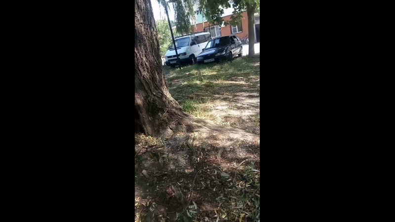 О Аршаке