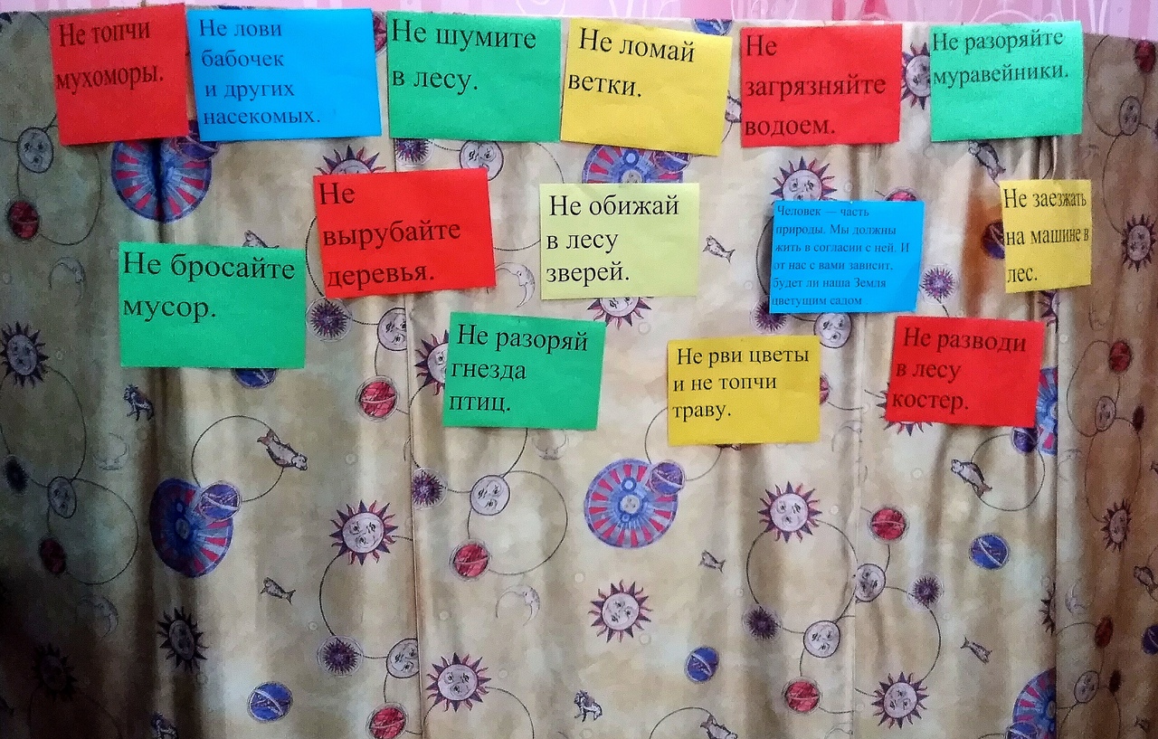 Культурно-развивающее экологически-познавательное занятие.