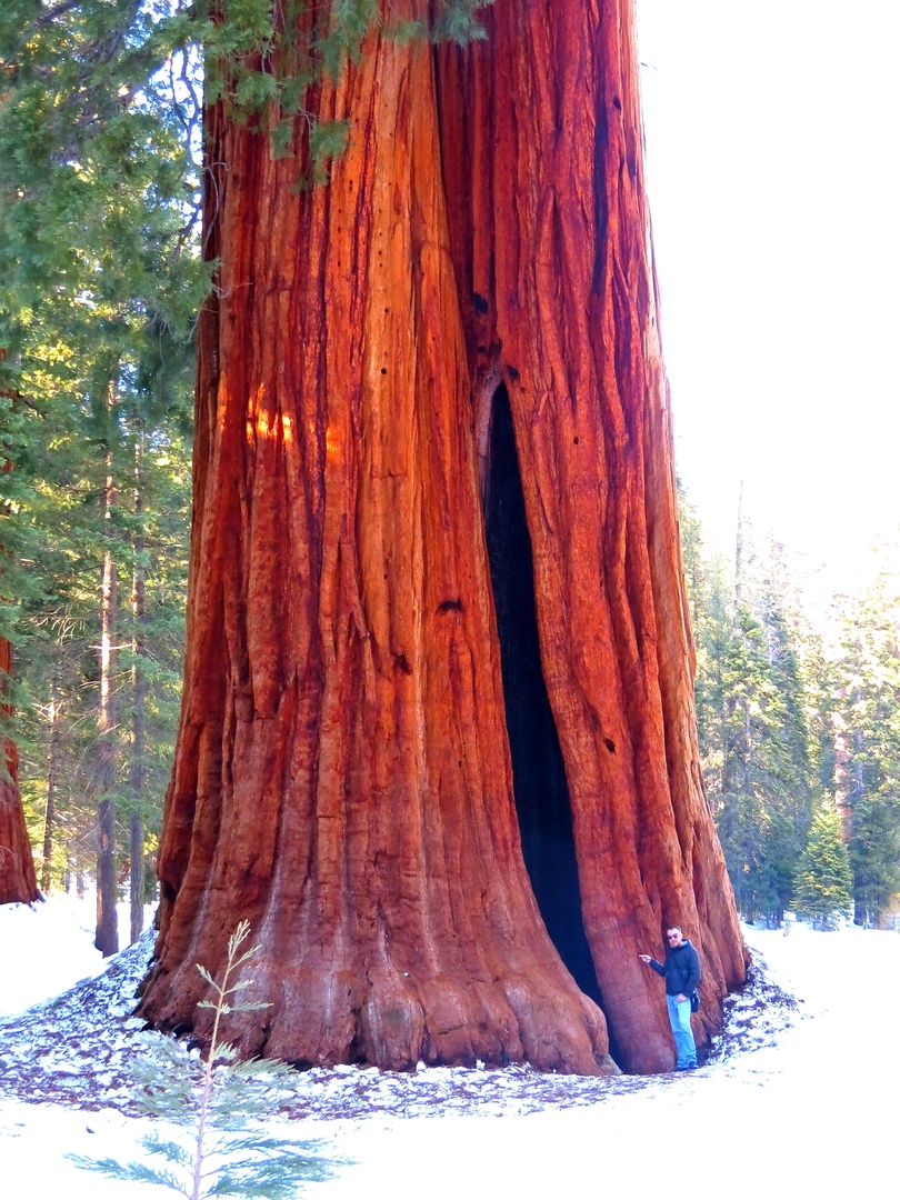 Ударим автопробегом по дикому западу! USA 2019 7-25 марта.
