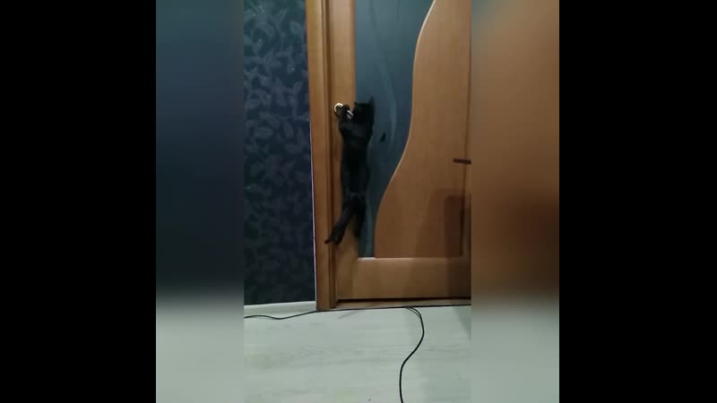 😼🙈 Проникновение без взлома
