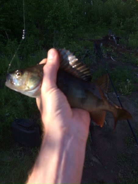 Рыболовное место в Красноярском крае — 58.570, 99.161