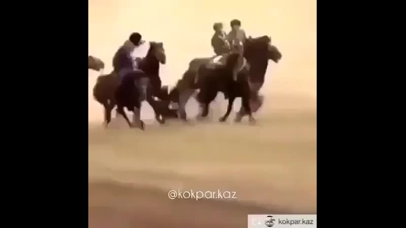 Көкпар
