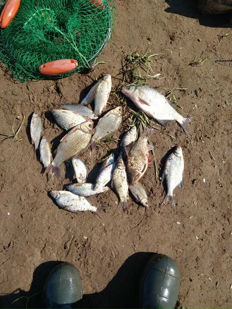 Рыбалка — Черновское водохранилище, Оренбургская область, 51.498, 54.184