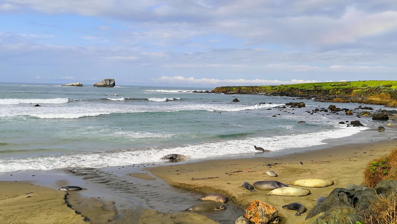 Ударим автопробегом по дикому западу! USA 2019 7-25 марта.