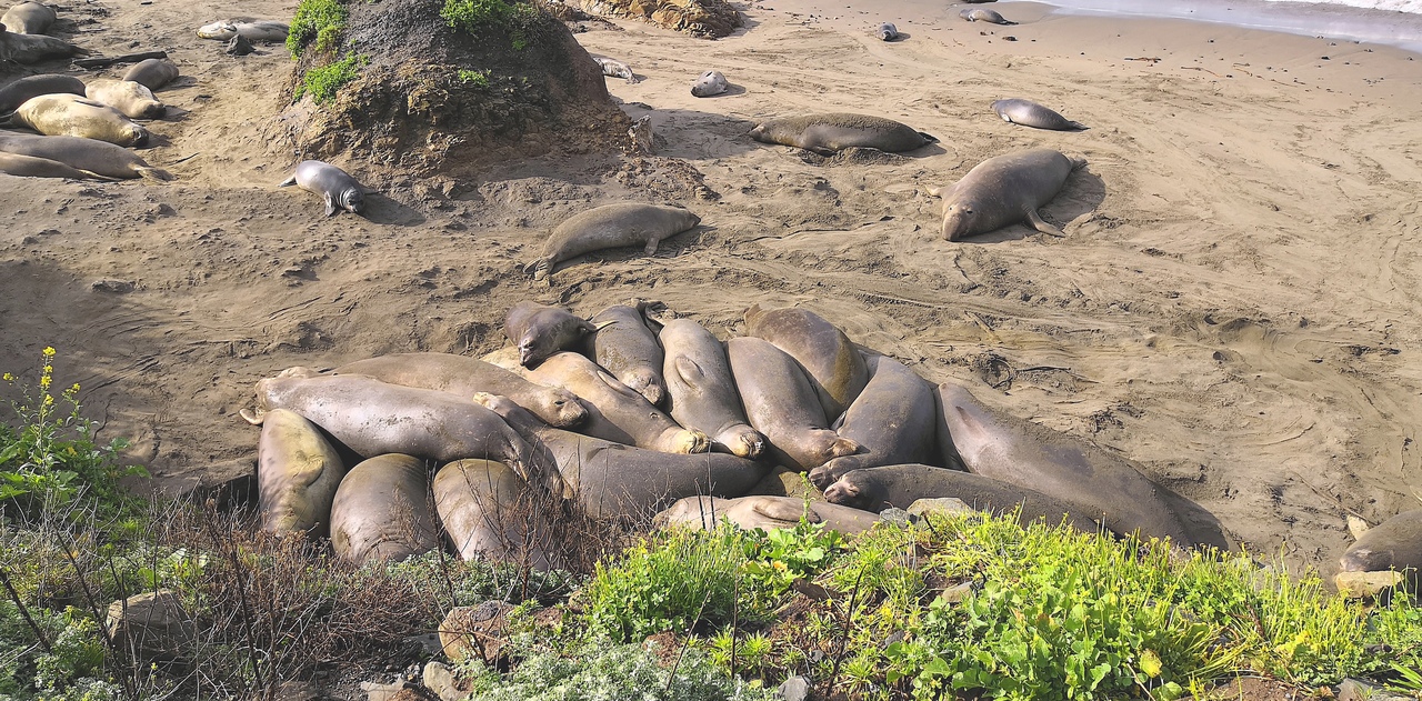 Ударим автопробегом по дикому западу! USA 2019 7-25 марта.