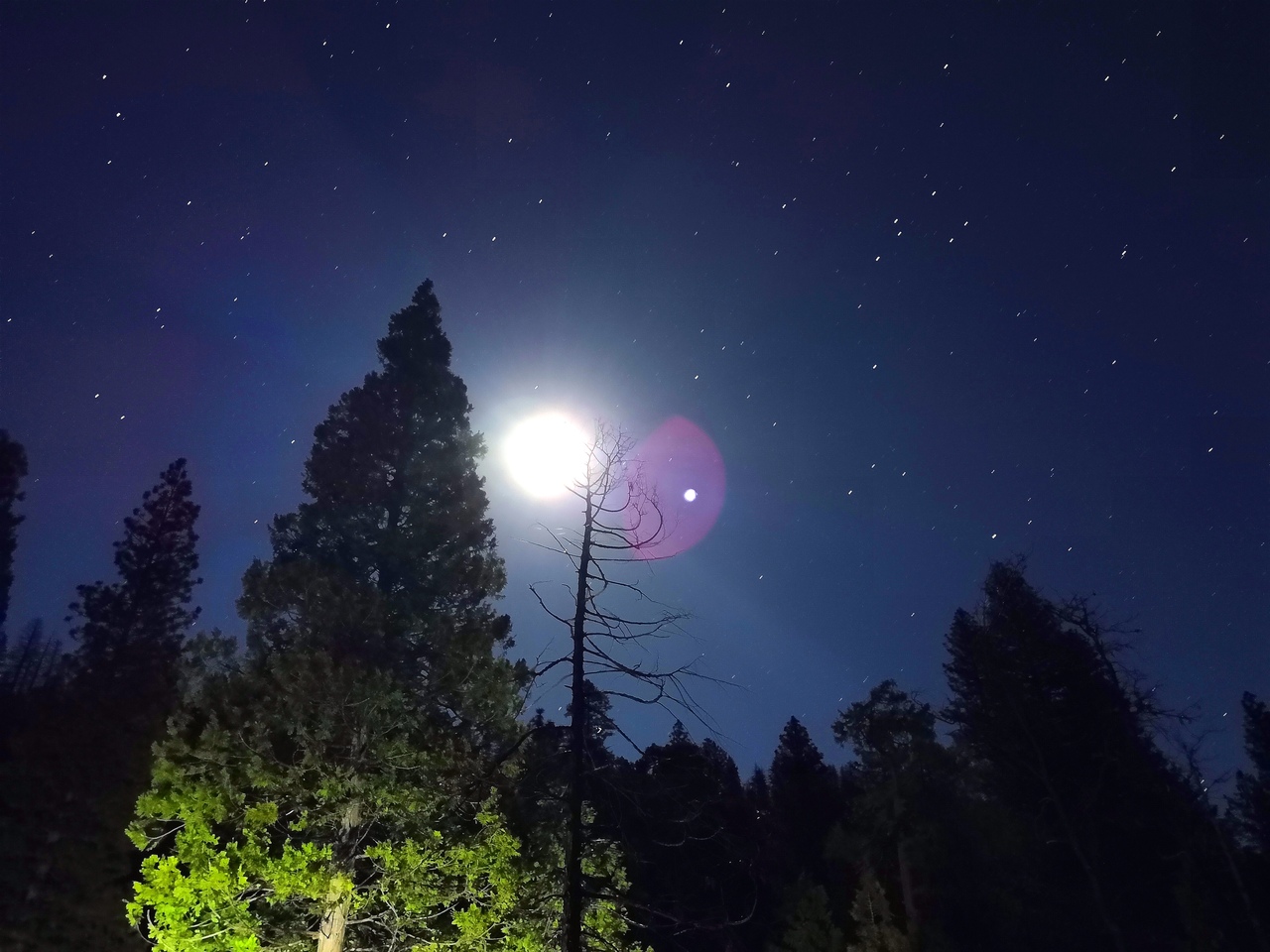 Ударим автопробегом по дикому западу! USA 2019 7-25 марта.