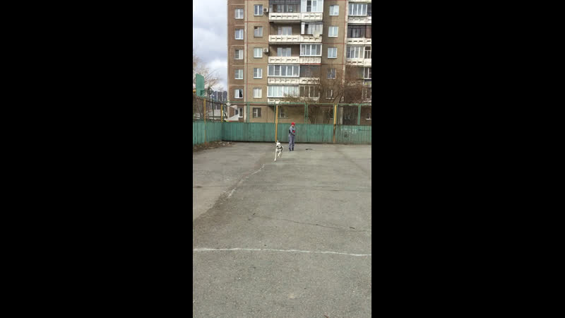 Гришаня