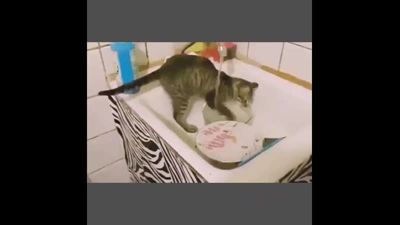 Мои помошники на кухне😂