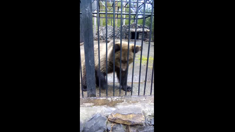 VID_20150928_110226