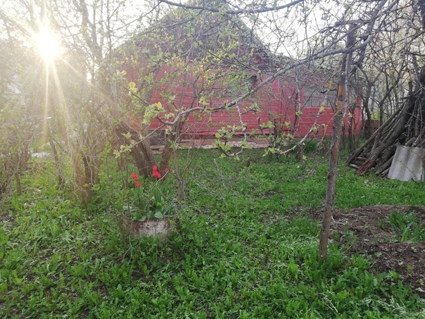МО, Ступинский район. <br>УНИКАЛЬНОЕ ПРЕДЛОЖЕНИЕ 2 УЧАСТКА ПО ЦЕНЕ ОДНОГО! <br>Продам земельный участок 30 сот. расположен в д. Белыхино вблизи пгт Малино. Участок ровный, правильной формы, огорожен, есть скважина. На нем имеется дом общей площадью 38.8 кв.м. В доме располагается 3 комнаты, кухня. В нем есть электричество, печное отопление. На участке так же расположена баня, гараж, при желании возможно сделать подъезд к участку с двух сторон. Так же имеется очень много плодово-ягодных деревьев. <br>Звоните и приезжайте! <br>Тел: 8-917-552-48-80 - фото Фото: МО, Ступинский район. <br>УНИКАЛЬНОЕ ПРЕДЛОЖЕНИЕ 2 УЧАСТКА ПО ЦЕНЕ ОДНОГО! <br>Продам земельный участок 30 сот. расположен в д. Белыхино вблизи пгт Малино. Участок ровный, правильной формы, огорожен, есть скважина. На нем имеется дом общей площадью 38.8 кв.м. В доме располагается 3 комнаты, кухня. В нем есть электричество, печное отопление. На участке так же расположена баня, гараж, при желании возможно сделать подъезд к участку с двух сторон. Так же имеется очень много плодово-ягодных деревьев. <br>Звоните и приезжайте! <br>Тел: 8-917-552-48-80