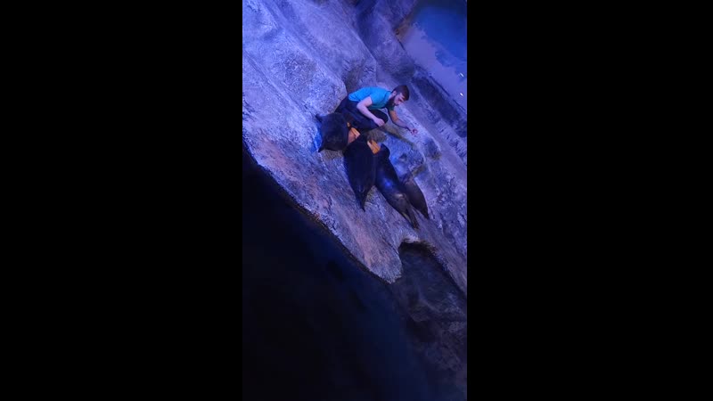1555600115297.mp4