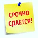 Объявление от Zhulduz - фото №1