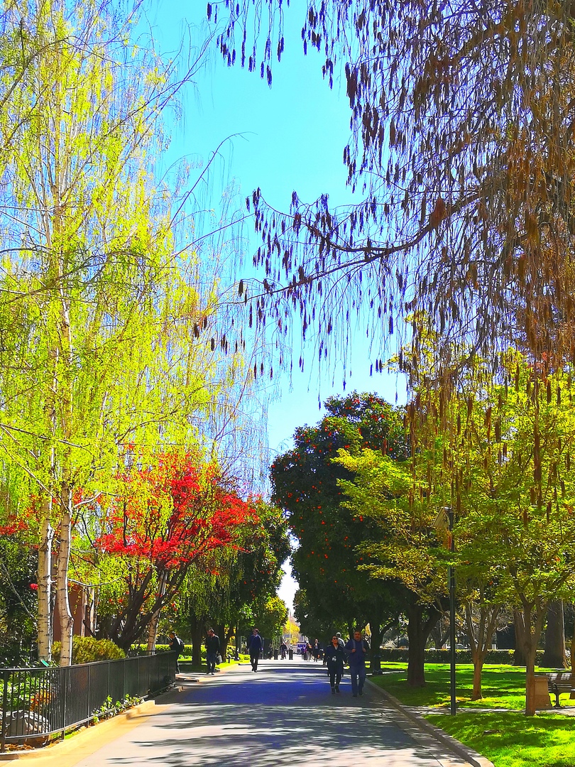 Ударим автопробегом по дикому западу! USA 2019 7-25 марта.