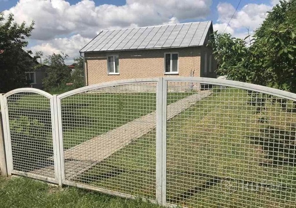 Фото: Продам кирпичный дом в Беларуси (г. Несвиж, улица Зелёная, 9), площадь 78 кв.м., участок 10 соток. <br>Живописное место, рядом с домом озеро.<br>Отопление от газа, интернет, телефон. Кирпичные гараж и хоз постройки на участке.<br>Продажа от собственника, возможна покупка в рассрочку или через кредит банка, 36 000 $. <br>+375-29-666-65-57