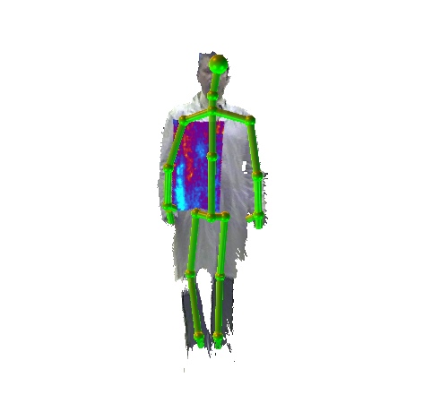 THz and thermal video data set, Thermal imaging, Terahertz images, THz, Terahertz