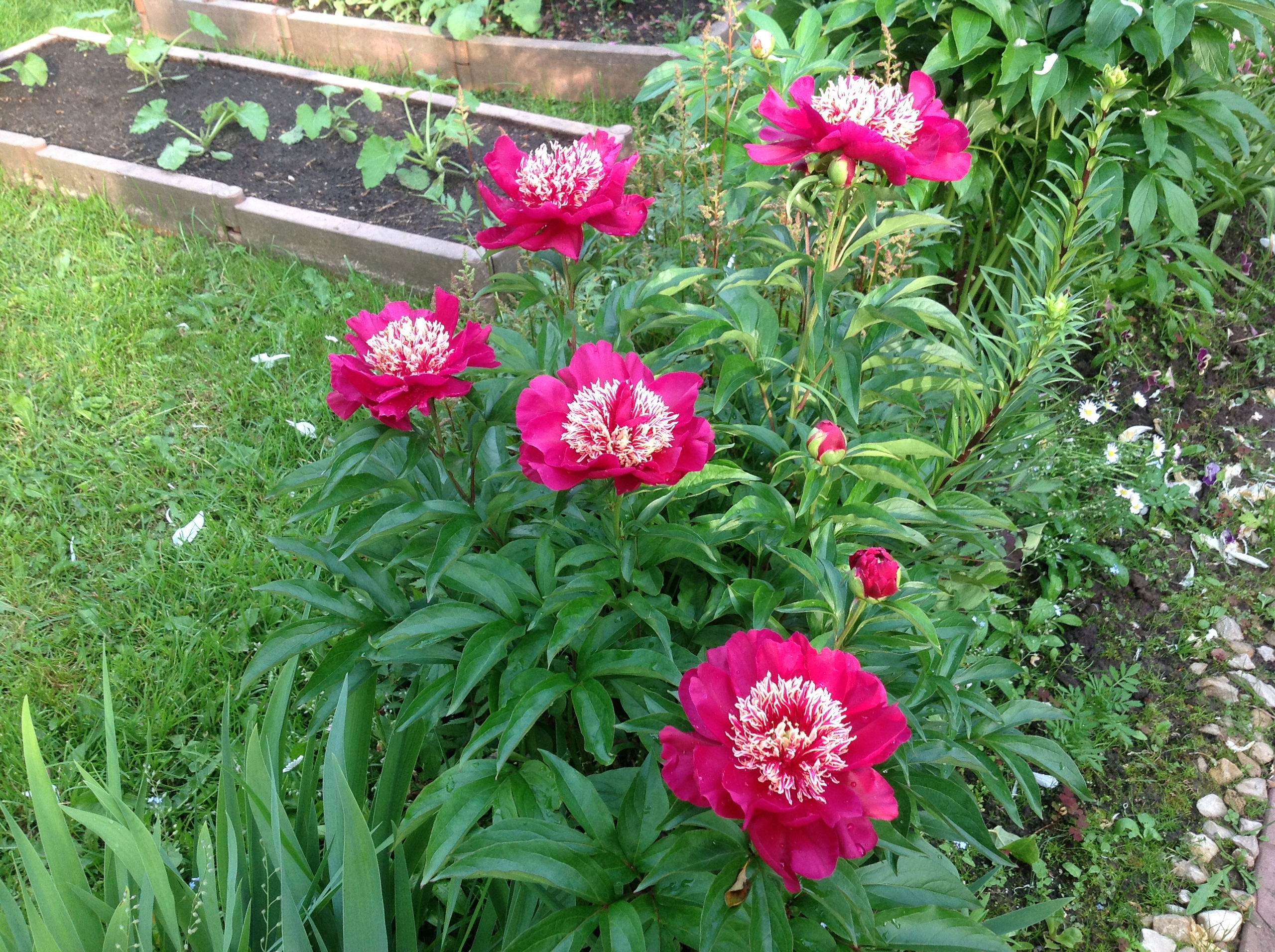 фотография из вКонтакте