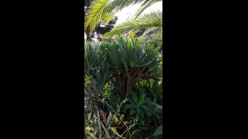 VID_20190312_100924.mp4
