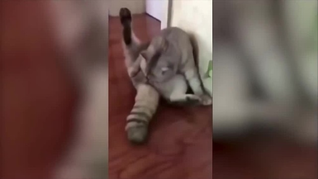 Я незнаю