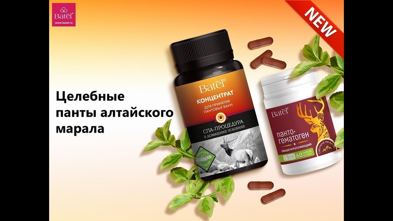 Целебные панты алтайского марала
