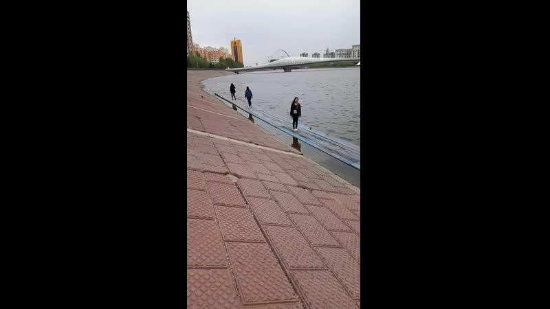 др Дили(на набке,14мая)