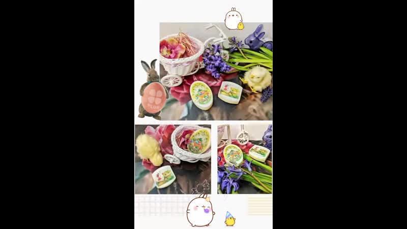 🐰