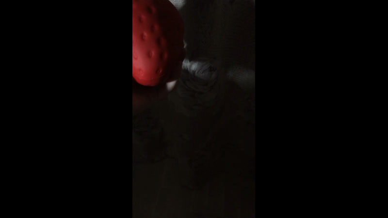 Сквиш