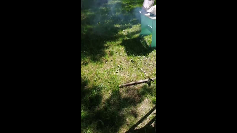 Live SMOTRA.RU КУРГАН