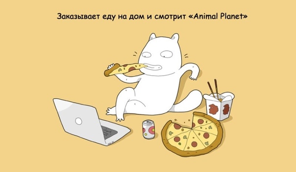 Чем занимается мой кот, пока меня нет дома Вы когда-нибудь видели, как кот смотрит вам в след, когда вы уходите, и будто думает: «Хотел бы я пожить в одиночку, без моих человеческих рабов. Моя