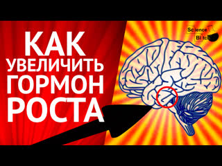Гормон роста. Как и чем его увеличить? Схемы по науке