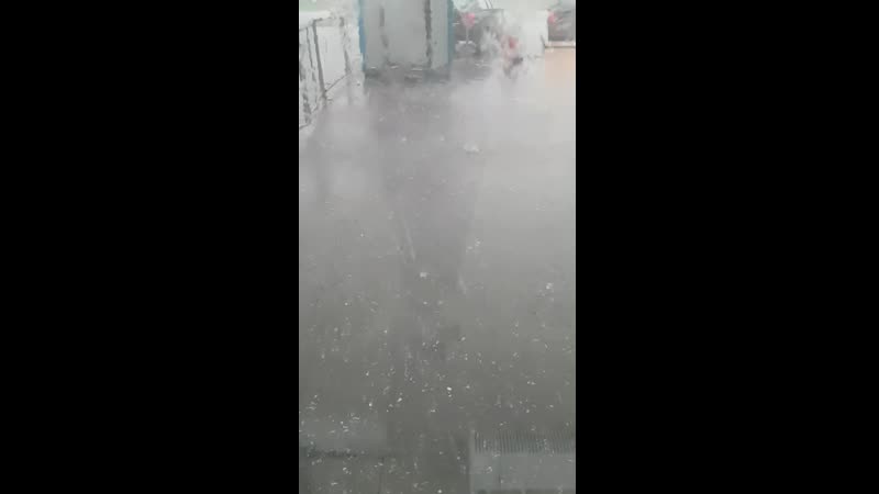 20190530_171204.mp4
