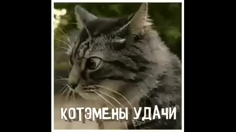 позитив