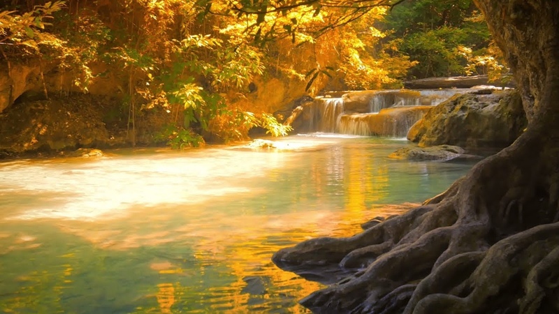 Nature.rampage