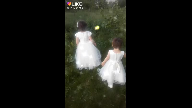 Like_6689243618825120179.mp4