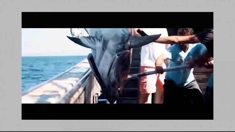 Пример нашей работы