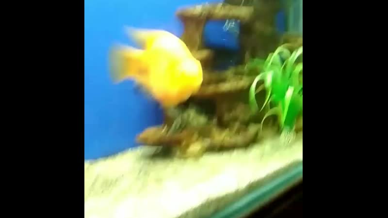 VID_22090828_200424_542.mp4