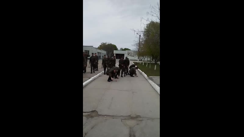 Они следующие.