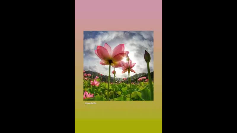 VID_20170706_100428_048.mp4