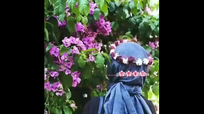 VID_102800305_035214_525.mp4