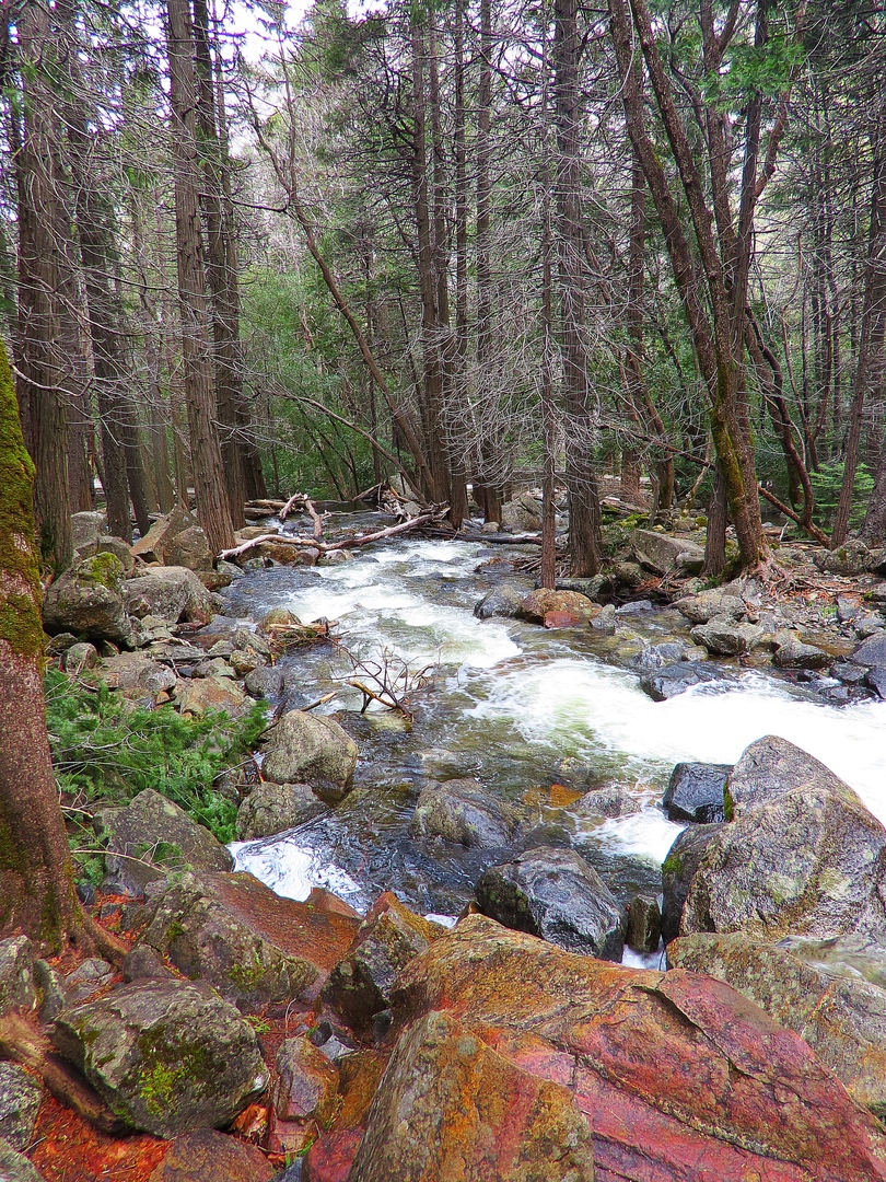Ударим автопробегом по дикому западу! USA 2019 7-25 марта.