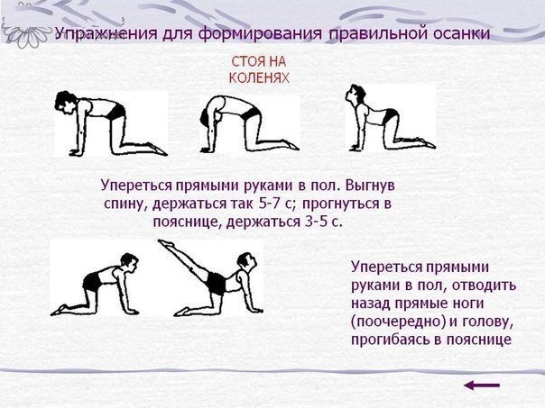 Упражнения для формирования хорошей осанки для детей и взрослых!