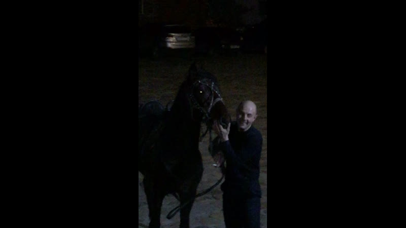 Вот это подарок !! 🎁 🐴✌️👏👍