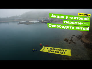Освободить, а не выбросить!