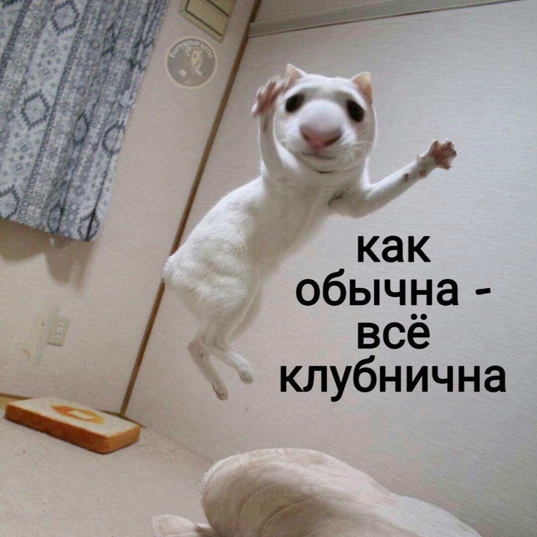 fFqW0RtxUQE.jpg