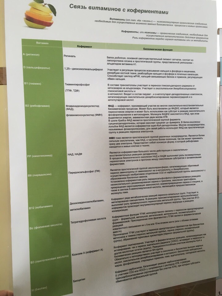 Биохимия – Telegraph