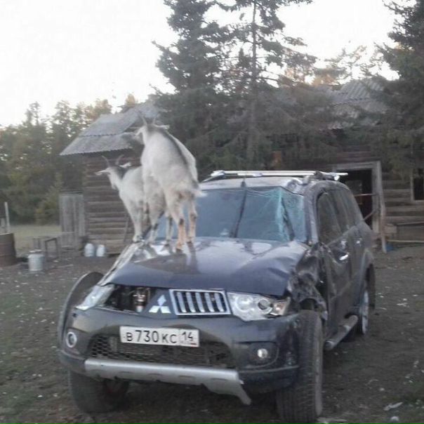 Не знаю, видел ли я более странное фото...