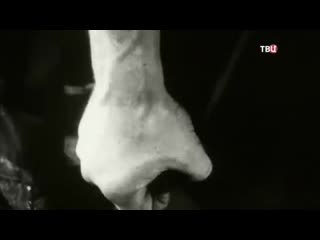 Троцкий против Сталина. Часть 1-я. Документальное кино Леонида Млечина